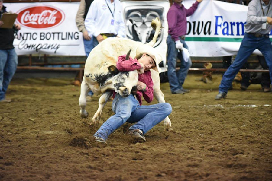 rodeo-by-the-numbers-in-lebanon-tn.jpg
