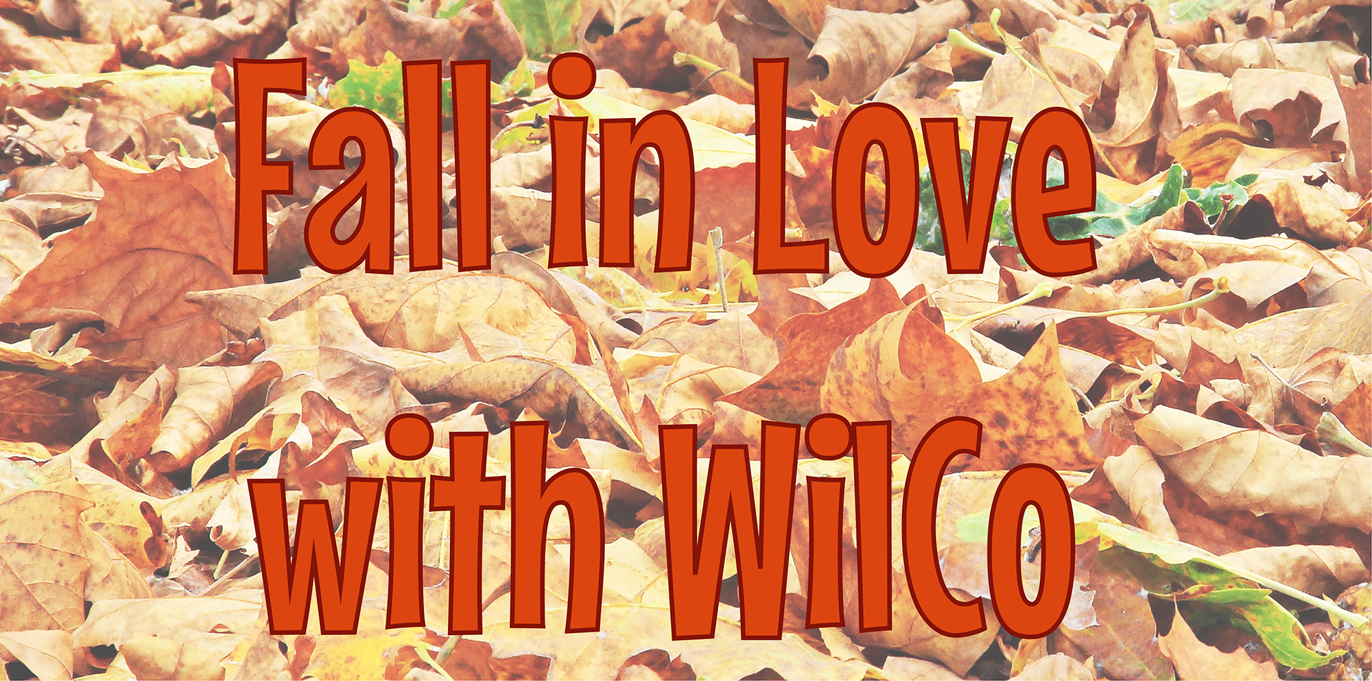 Fall-in-Love-with-WilCo.png